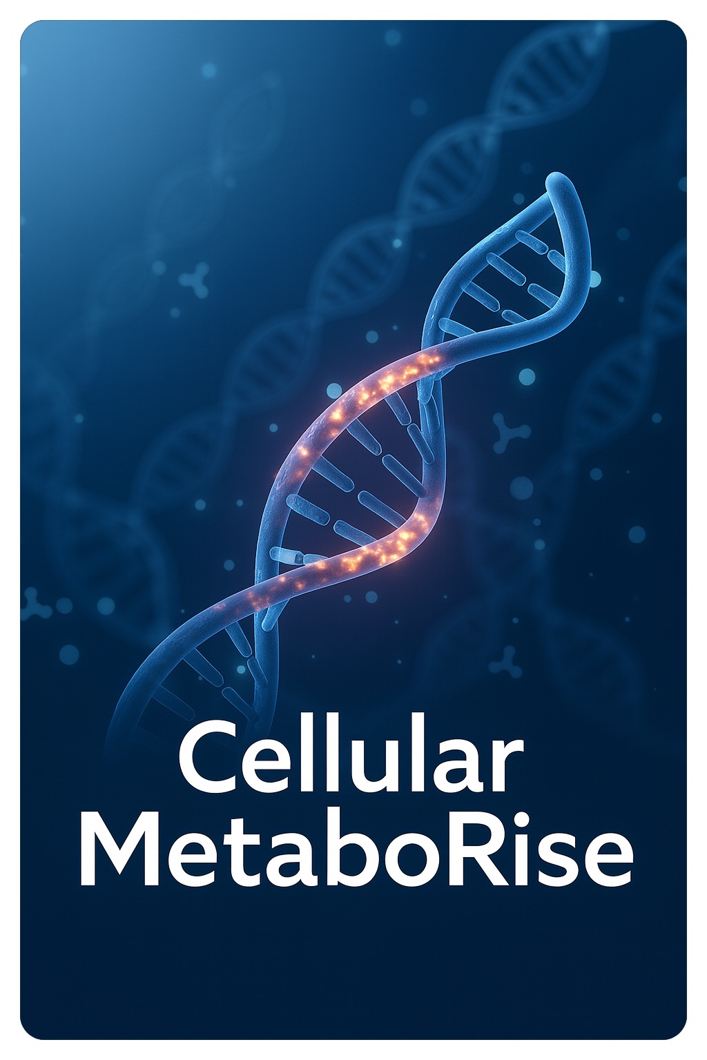 Cellular MetaboRise